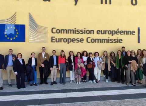 Imaxe IGCC en Europa