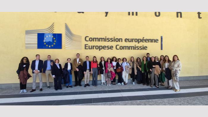 Imaxe IGCC en Europa